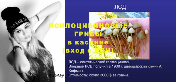 синтетический гашиш Богородицк