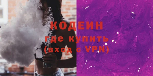 индика Богданович