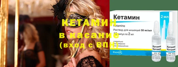 индика Богданович