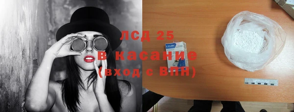 индика Богданович