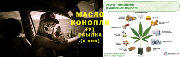 индика Богданович
