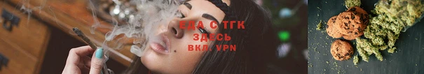 индика Богданович