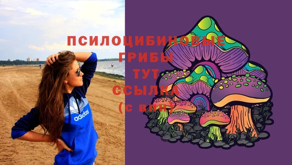синтетический гашиш Богородицк
