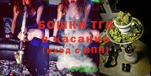 индика Богданович