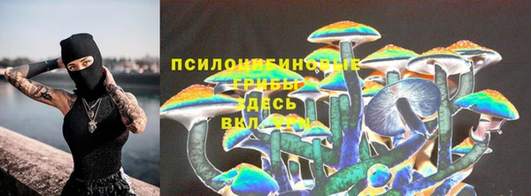 индика Богданович