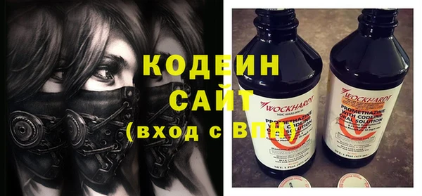 индика Богданович