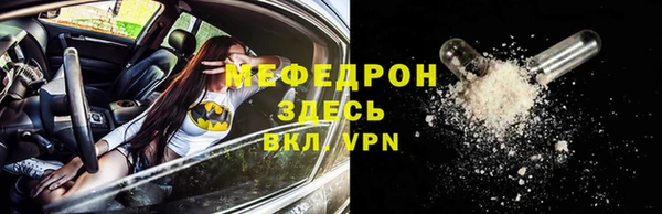 индика Богданович