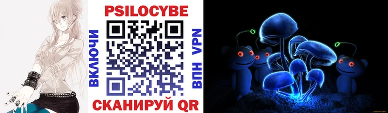 Псилоцибиновые грибы мицелий  Дорогобуж 